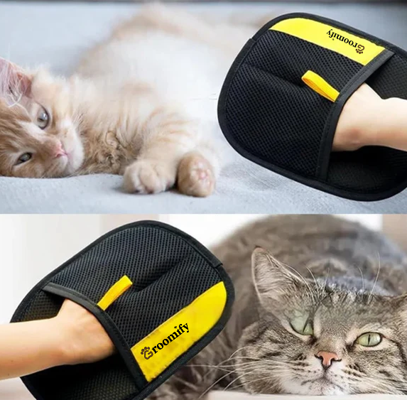 Groomify™ glove clearing cat hair from bedding and sofa near relaxed cats