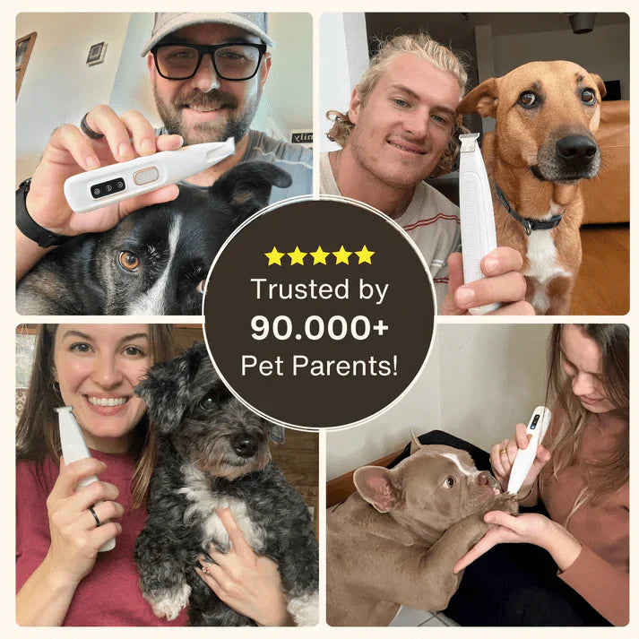 Groomify™ Gentle Hair Trimmer