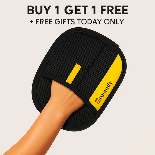 Buy 1 Get 1 Free Groomify™ pet hair removal glove with yellow accent on neutral background.